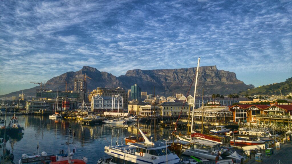 kota, nomad. cape town,